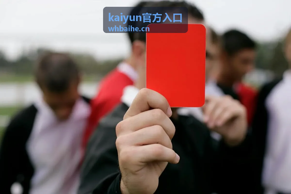 kaiyun官方入口入口通道核对流程示意