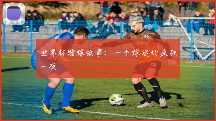 世界杯赌球故事：一个球迷的疯狂一夜
